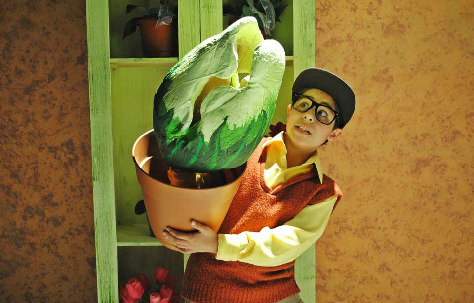 Little Shop of Horros